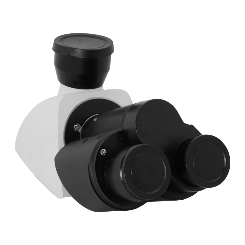 Microscope Eyepiece Tube
